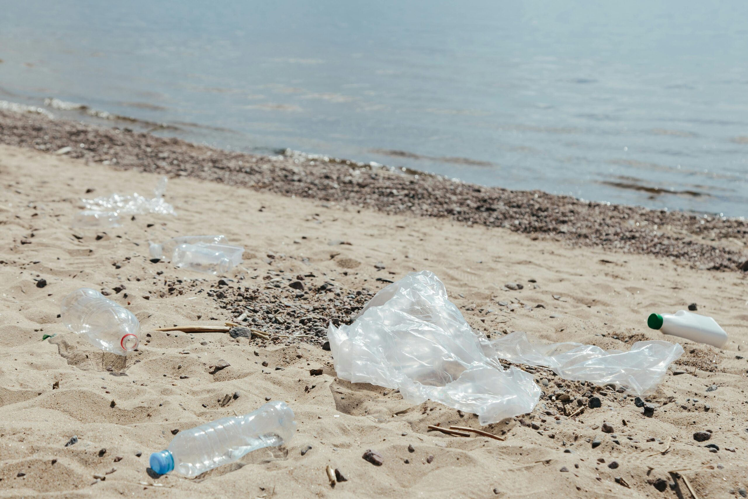 The Ban on Single-Use Plastics and How to Manage It